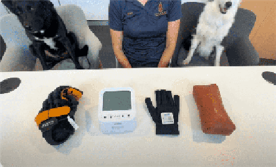 Žingsnis{0}}po-žingsnis „Syrebo E12 Glove“ mokymas (nuo 1 iki 3 lygio)